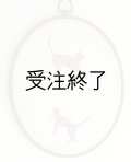 吊りフレームL　「ねこ日和・インド綿」