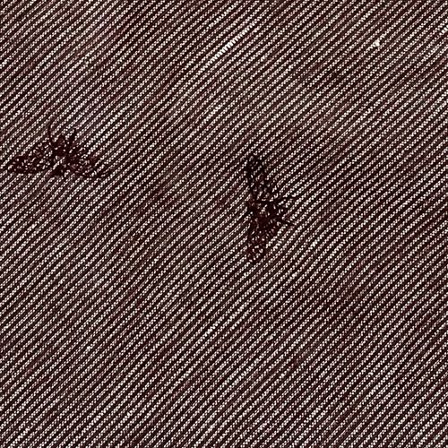 画像: リネン・semi no ha刺繍ブラウン・あづま袋